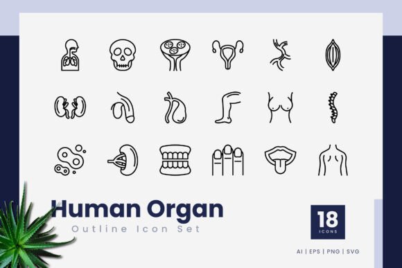 Human Organ Outline Icons for Graphic Design Projects